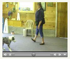 Click to view video